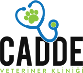 Sakarya Veteriner Kliniği – Cadde Veteriner